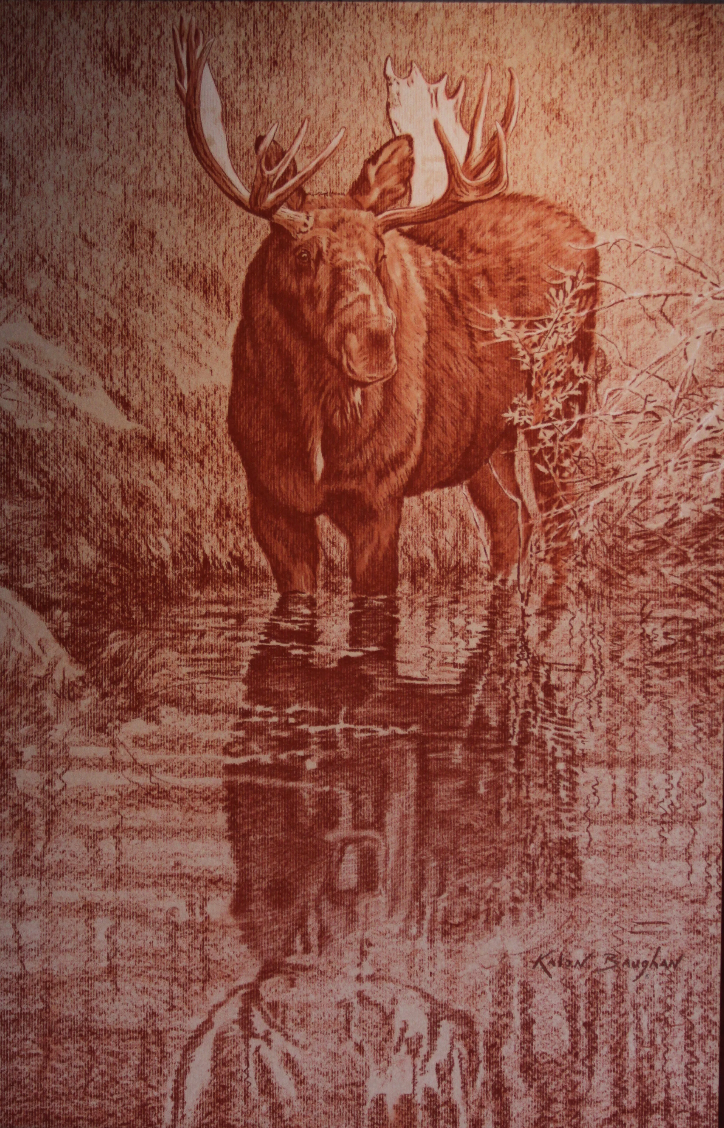 Drawings — Kalon Baughan